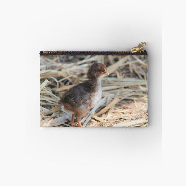 Artikelvorschau, Baby Chick entworfen und verkauft von Wendy Sinclair.