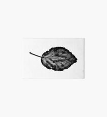 Scanned Leaf Art Board