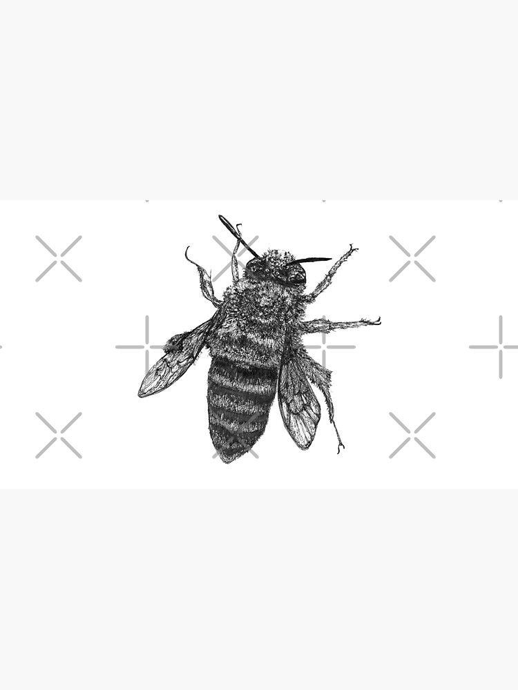 Buzzie the Bee by Wildcard-Sue