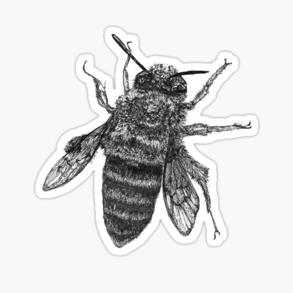 Buzzie the Bee Sticker