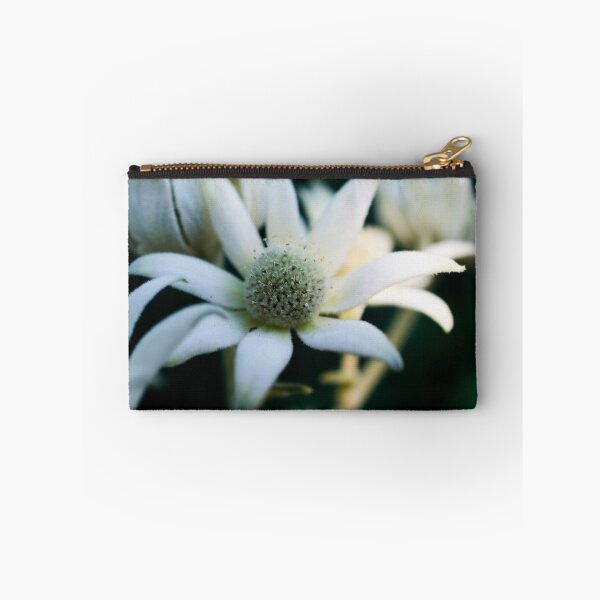 Item preview, Flannel flowers designed and sold by Laura Sykes.