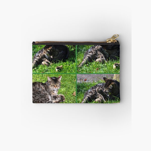 Item preview, Grooming Time designed and sold by lynn carter.