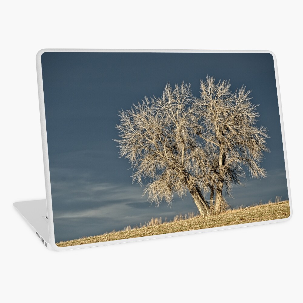 Item preview, Laptop Skin designed and sold by nikongreg.
