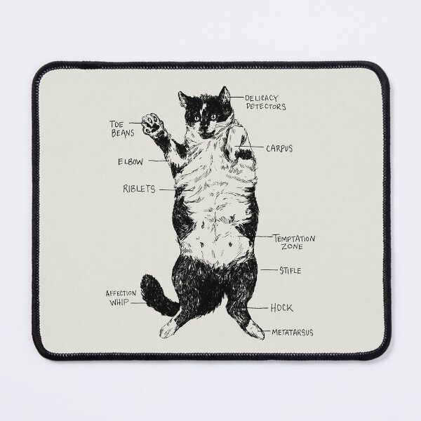 Item preview, The Anatomy of a Cat designed and sold by Amanda Zito.