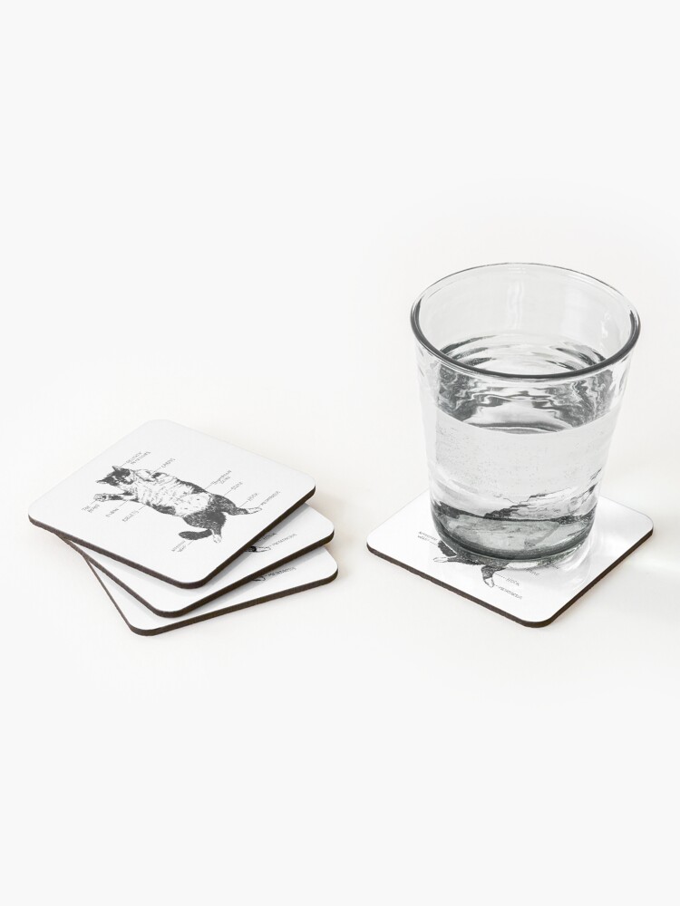Alternate view of The Anatomy of a Cat Coasters (Set of 4)