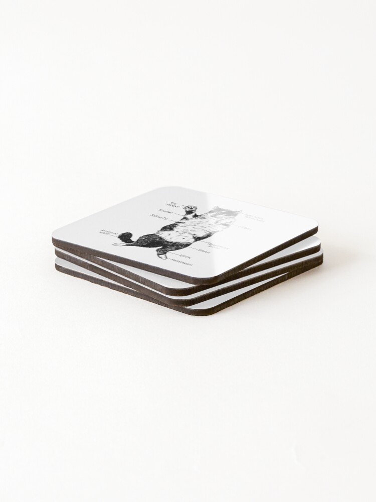 Alternate view of The Anatomy of a Cat Coasters (Set of 4)