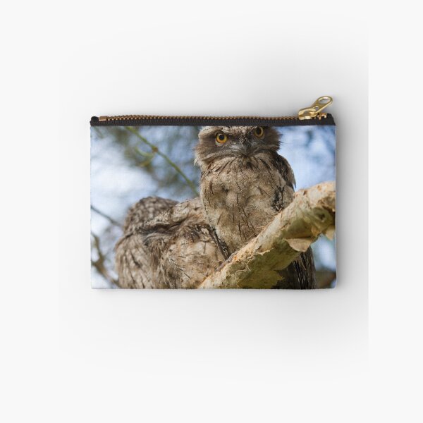 Item preview, Three Nightjars designed and sold by byronbackyard.