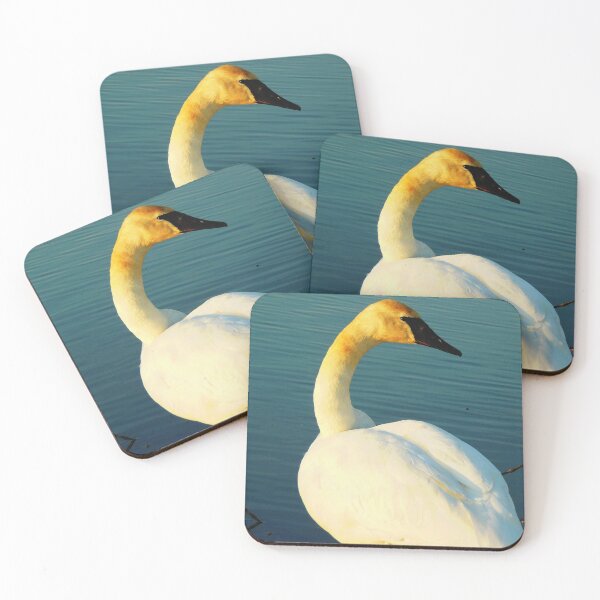 Item preview, My Swans, 1 Graceful Momma (1) designed and sold by OneEagleRider.