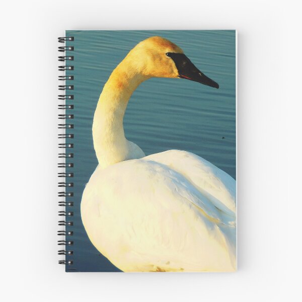Item preview, My Swans, 1 Graceful Momma (1) designed and sold by OneEagleRider.