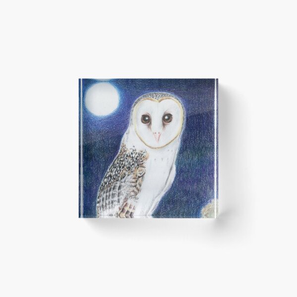 Item preview, Mid-Summer Eve: Barn owl designed and sold by Aakheperure.
