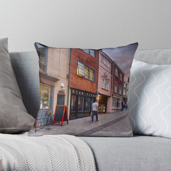 Pottering Along Pottergate Throw Pillow