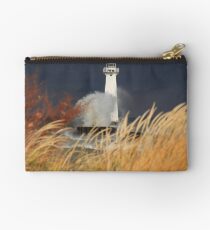 Crash Splash Flash Studio Pouch