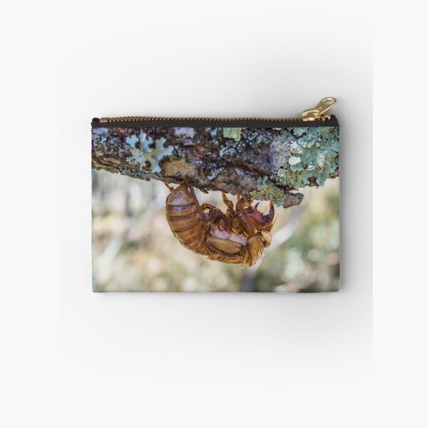 Item preview, Cicada designed and sold by Laura Sykes.