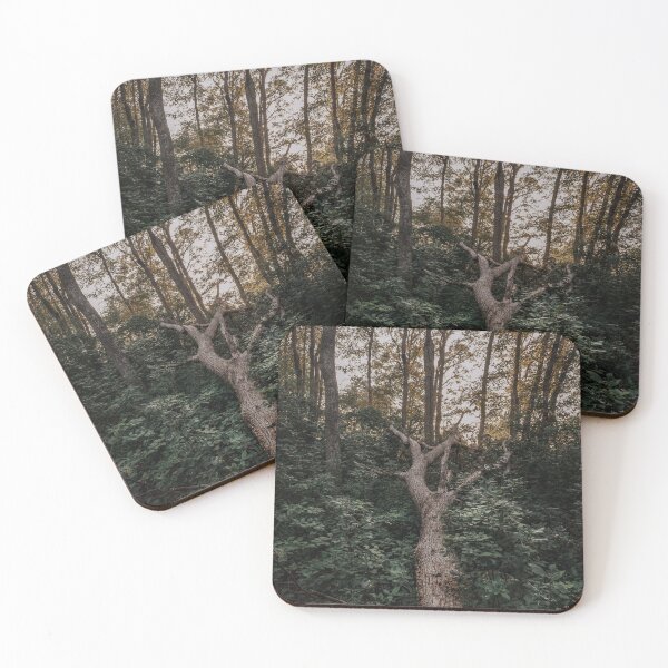 Item preview, Fallen Tree designed and sold by photodunnright.
