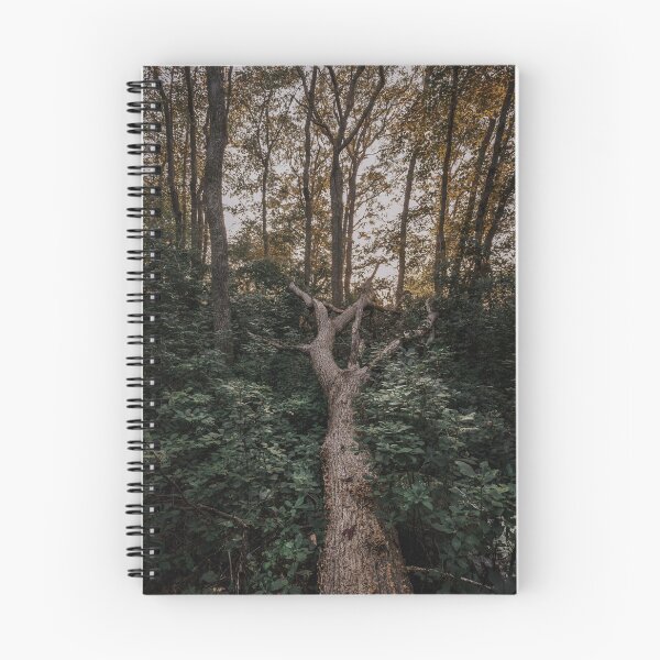 Item preview, Fallen Tree designed and sold by photodunnright.