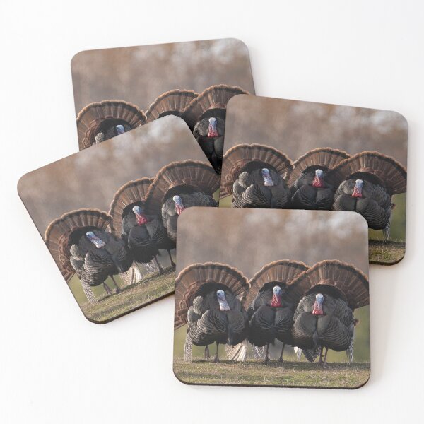 Item preview, Turkeys in Dartmouth, MA designed and sold by photodunnright.
