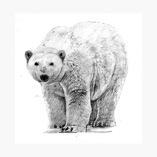 Item preview, Polar Bear designed and sold by CraigMundy.