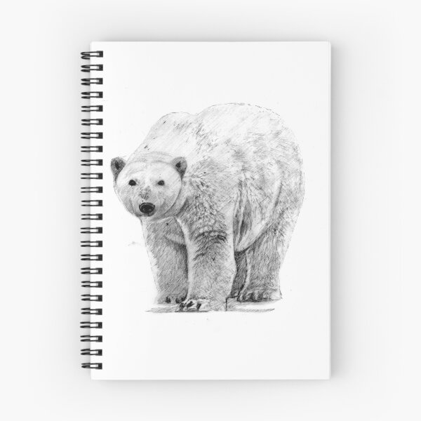 Artikelvorschau, Eisbär entworfen und verkauft von CraigMundy.