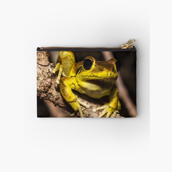 Item preview, Stoney Creek Frog designed and sold by Derek Byrne.