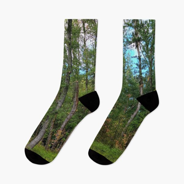 Item preview, Fall Trees designed and sold by Djjin66.
