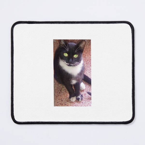 Item preview, The black Cat designed and sold by Rabhachannel.