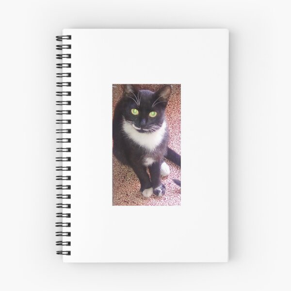 Item preview, The black Cat designed and sold by Rabhachannel.