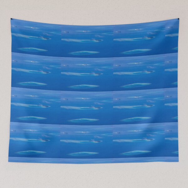 Item preview, North Ari Atolls in Maldives - aerial view over Eden on Earth designed and sold by Bruno Beach.