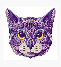 Lámina fotográfica Cabeza de gato (Versión en color)
