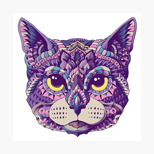 Cat Head (Color Version) Photographic Print