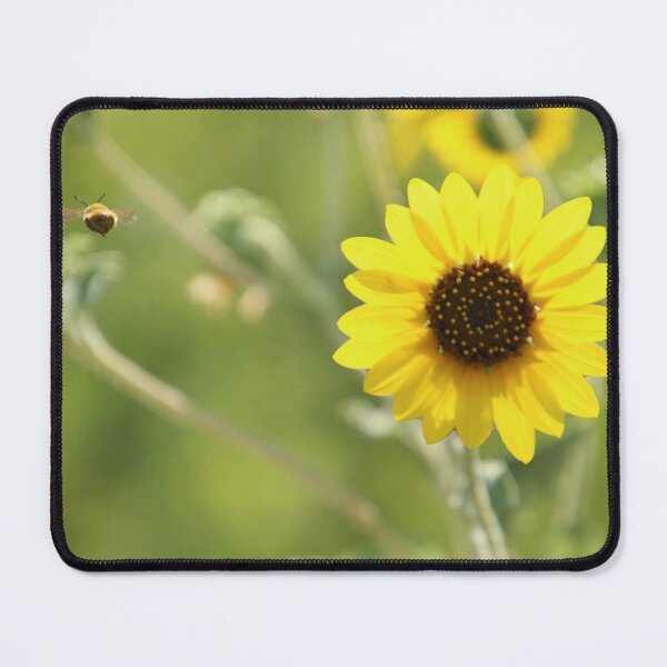 Item preview, Sunflower with curious bumble bee designed and sold by KNaylorPhoto.
