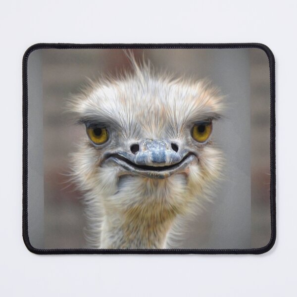 Item preview, Ostrich designed and sold by Savannah Gibbs.