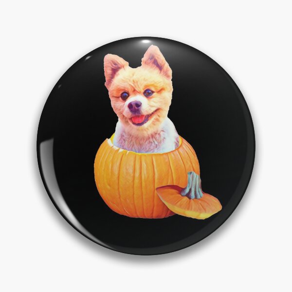 Item preview, Pomeranian Halloween Pumpkin for Pomeranian Lovers   designed and sold by Mochi-Merch.