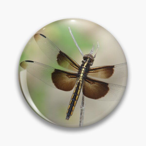 Item preview, Dragonfly full of hope designed and sold by KNaylorPhoto.
