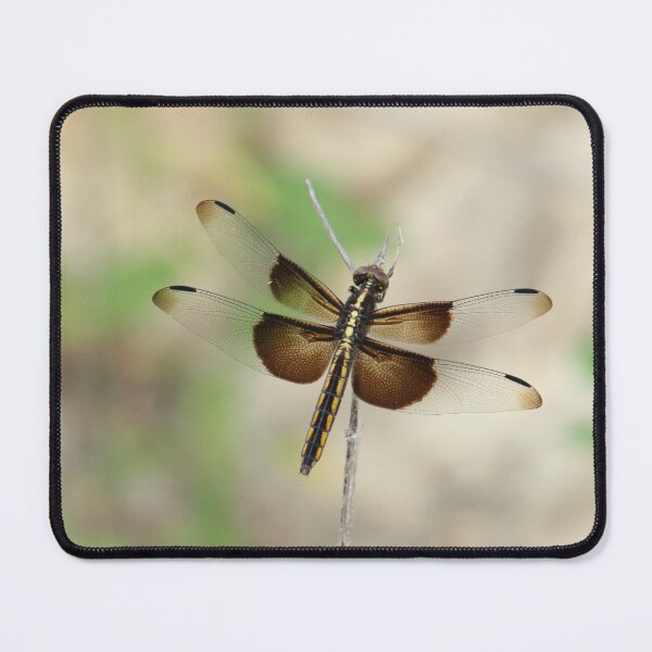Item preview, Dragonfly full of hope designed and sold by KNaylorPhoto.