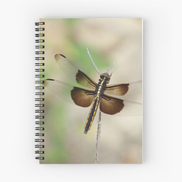 Item preview, Dragonfly full of hope designed and sold by KNaylorPhoto.
