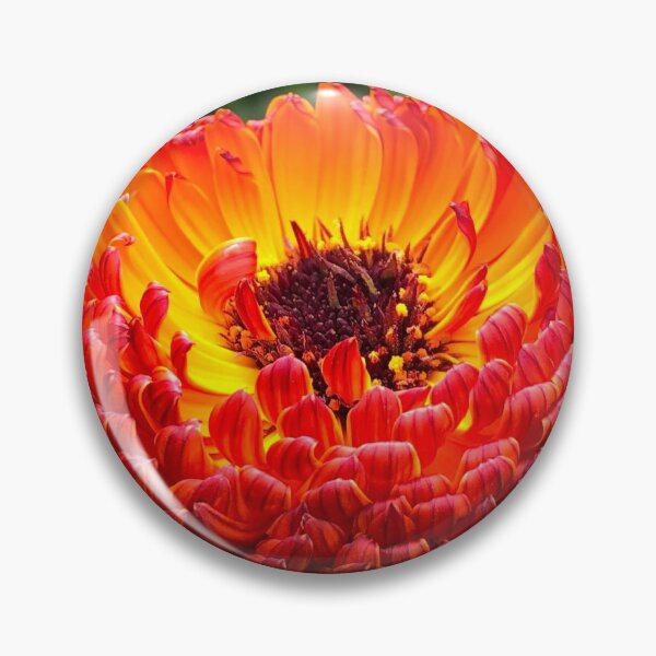 Item preview, Calendula  designed and sold by ShellyGifford.