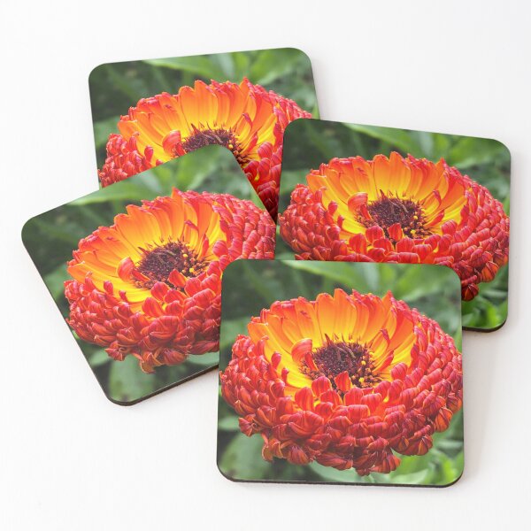 Item preview, Calendula  designed and sold by ShellyGifford.