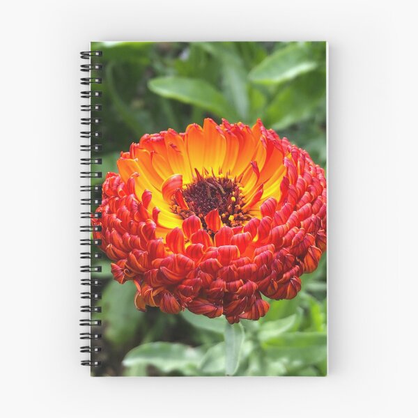 Item preview, Calendula  designed and sold by ShellyGifford.