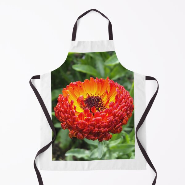 Item preview, Calendula designed and sold by ShellyGifford.