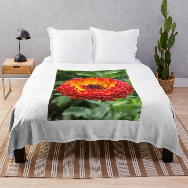 Item preview, Calendula designed and sold by ShellyGifford.