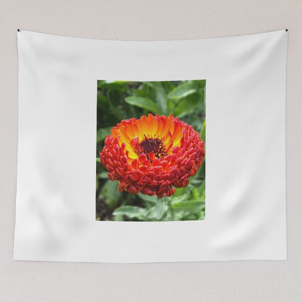 Item preview, Calendula  designed and sold by ShellyGifford.