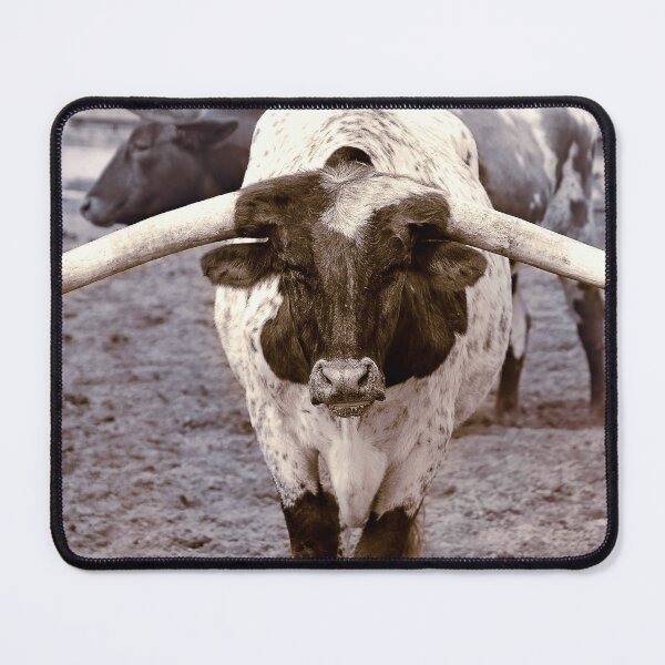 Artikelvorschau, Texas Longhorn entworfen und verkauft von KNaylorPhoto.