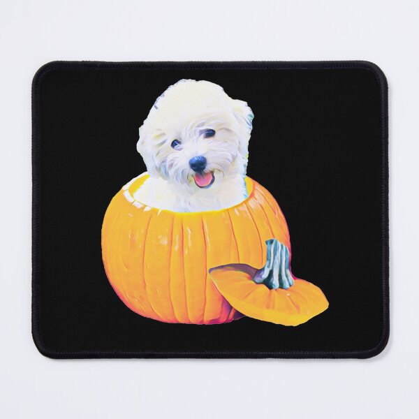Item preview, Maltese Halloween Pumpkin for Maltese Lovers designed and sold by Mochi-Merch.