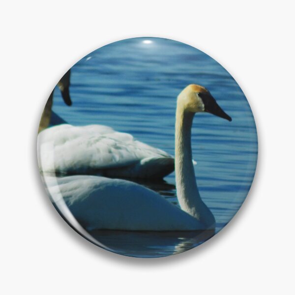 Item preview, My Swans, 3 Lily Lake designed and sold by OneEagleRider.