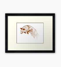 Let's Jump Framed Print