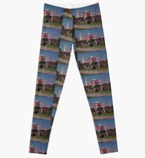 Blue Mosque Leggings