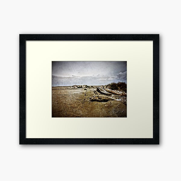 Framed Print