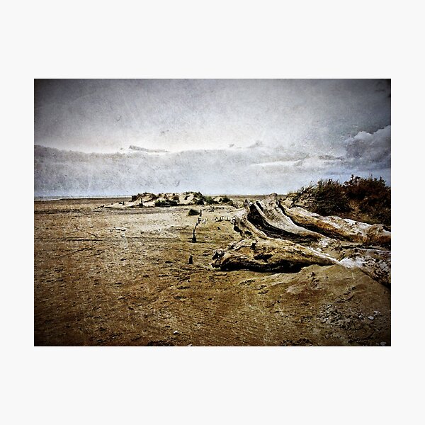 Photographic Print