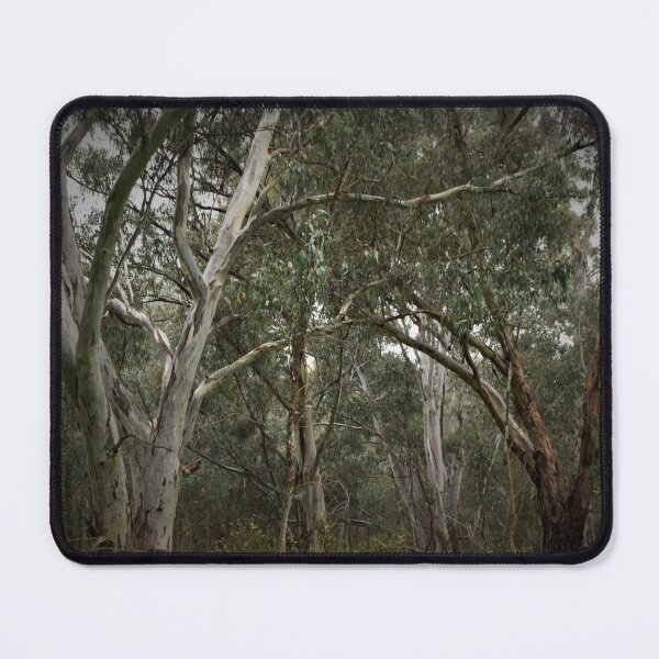 Item preview, Australian Bush Scene designed and sold by Lorraine McCarthy.