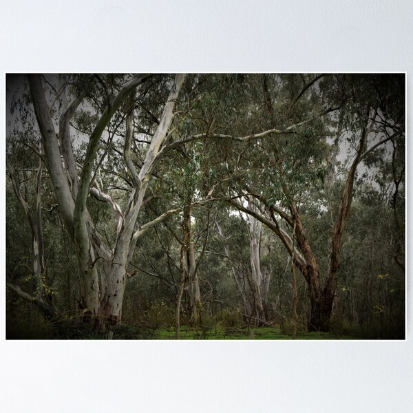 Item preview, Australian Bush Scene designed and sold by Lorraine McCarthy.